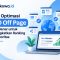 Cara Optimasi SEO Off Page yang Benar untuk Meningkatkan Ranking dan Otoritas