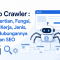 Web Crawler : Pengertian, Fungsi, Cara Kerja, Jenis, dan Hubungannya dengan SEO