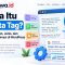 Apa Itu Meta Tag Pengertian, Jenis, dan Cara Optimasi di WordPress