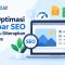 Cara Optimasi Gambar SEO yang Perlu Diterapkan di Website