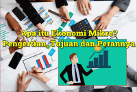 Apa itu Ekonomi Mikro Pengertian, Tujuan dan Perannya