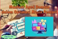 8 Manfaat Aged Domain dalam Optimasi Mesin Pencari