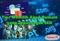 Tips Memilih Aged Domain yang Tepat dan Berkualitas untuk SEO
