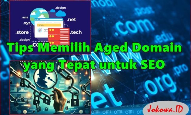 Tips Memilih Aged Domain yang Tepat dan Berkualitas untuk SEO