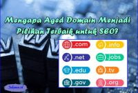 Mengapa Aged Domain Menjadi Pilihan Terbaik untuk SEO