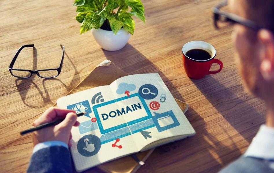 Aged Domain vs. New Domain Mana yang Lebih Baik untuk SEO
