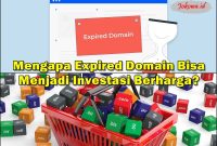 Mengapa Expired Domain Bisa Menjadi Investasi Berharga