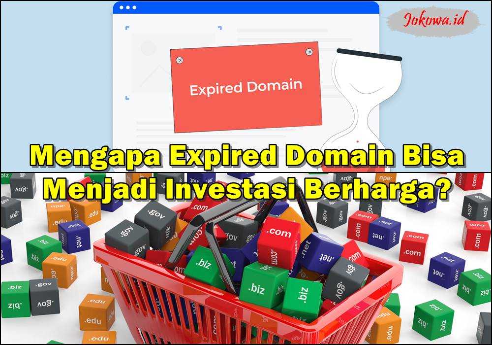 Mengapa Expired Domain Bisa Menjadi Investasi Berharga