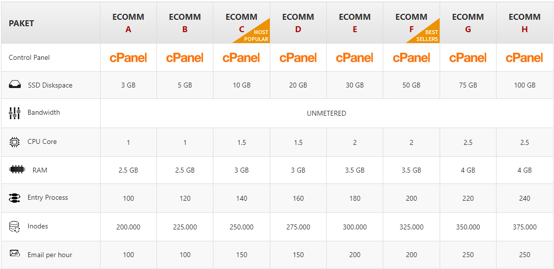 Profesional Cloud Hosting