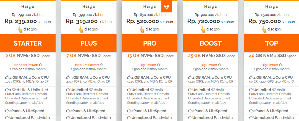 Web Hosting Profesional