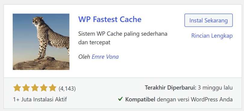 Apa Itu WP Fastest Cache?