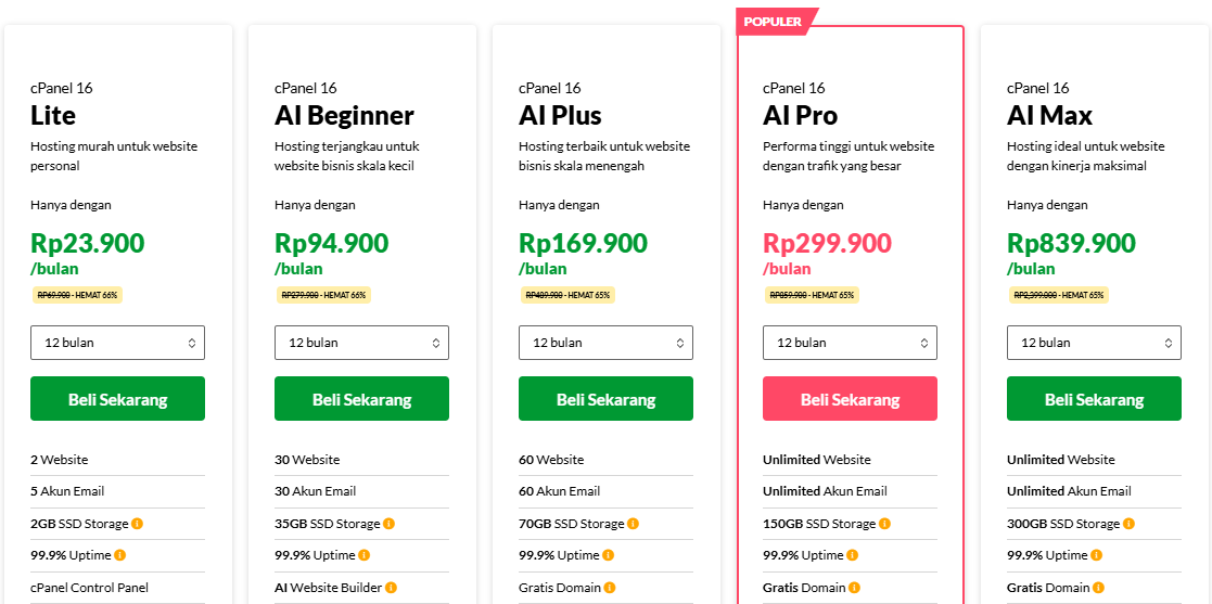 Paket Hosting Cpanel