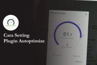 Cara Setting Plugin Autoptimize Wordpress agar Website Makin Ngebut