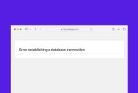 Error Establishing a Database Connection Penyebab & Cara Memperbaikinya