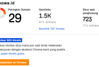 Panduan Meningkatkan Domain Rating Website Secara Efektif
