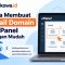 Cara Membuat Email Domain di cPanel dengan Mudah