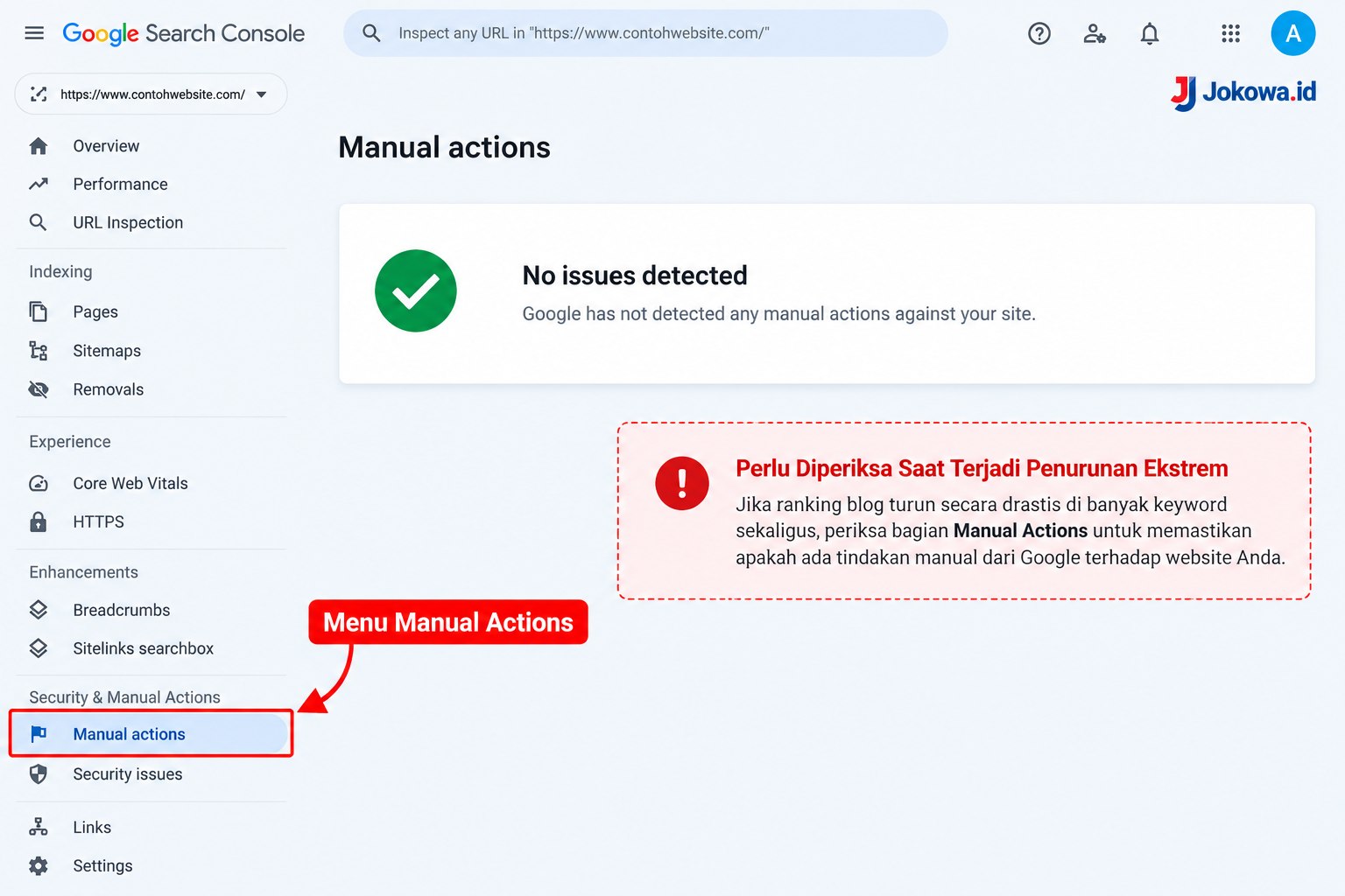 Manual Actions di Google Search Console