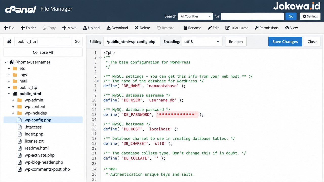 Matikan ThemePlugin File Editor