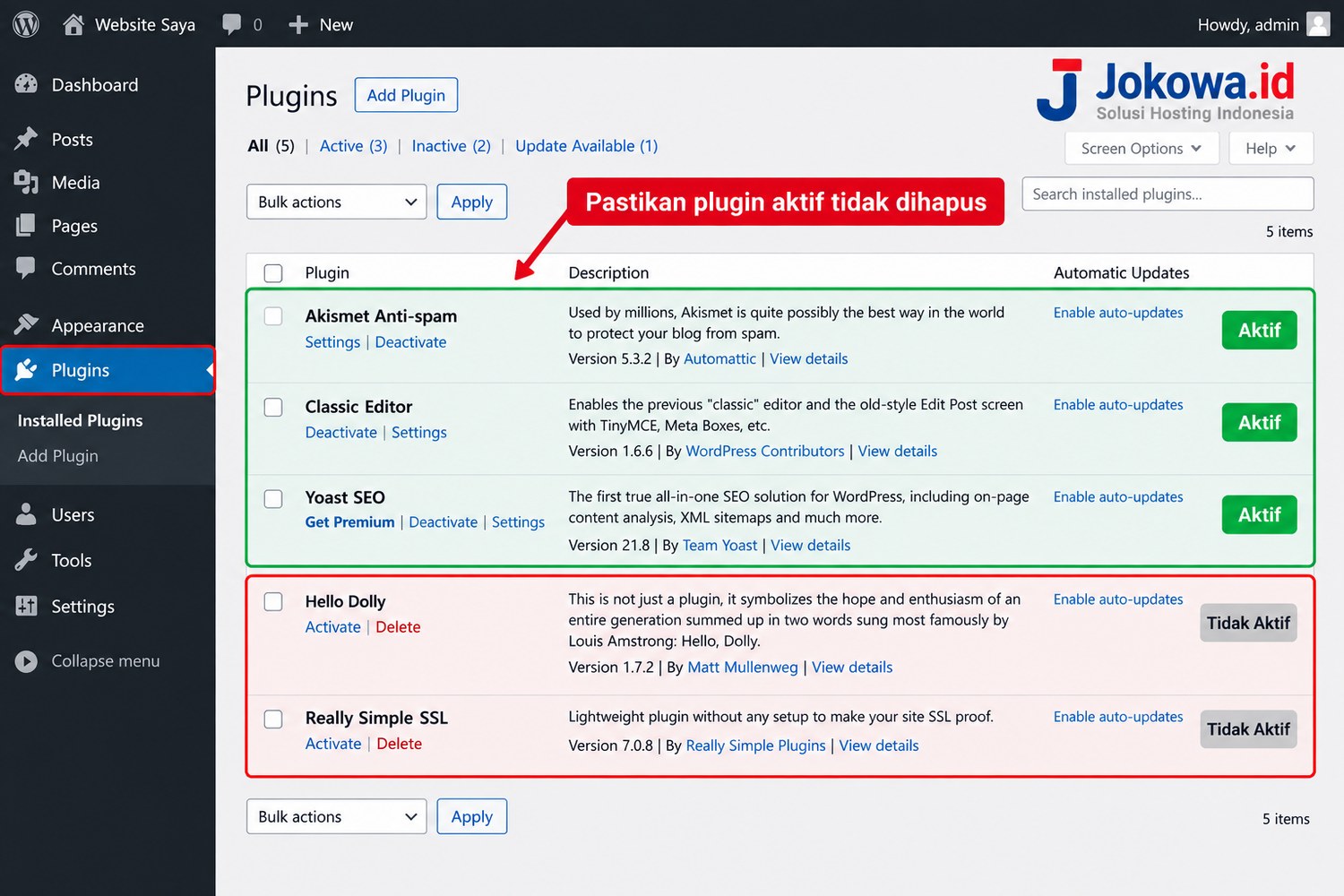 Periksa Sisa File Plugin dan Tema