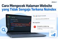 Cara Mengecek Halaman Website yang Tidak Sengaja Terkena Noindex