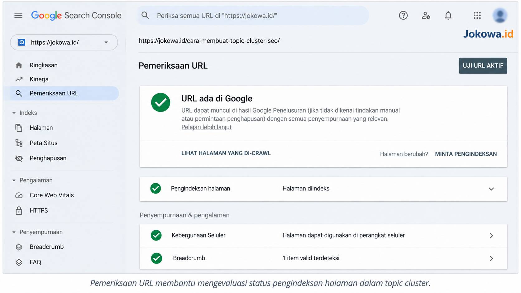 Periksa Crawling, Indexing, dan Kualitas Teknis